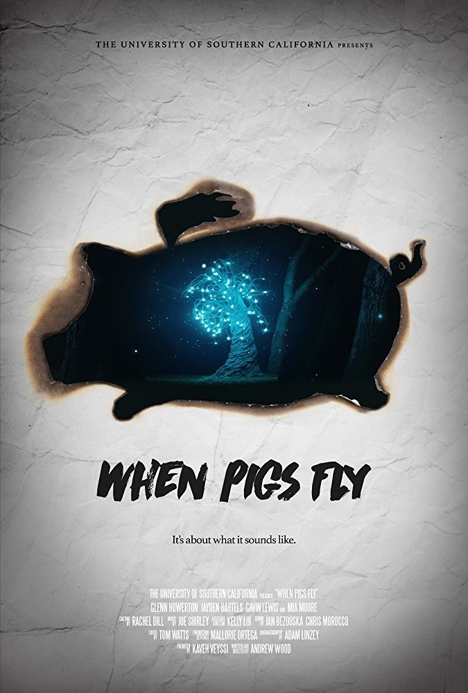 Постер When Pigs Fly